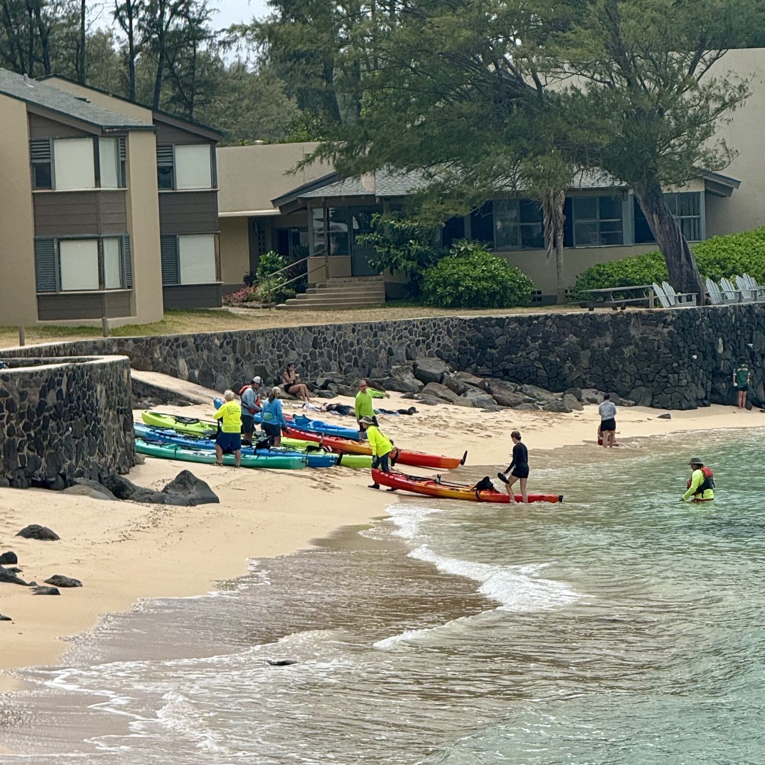 Kayaks pulling up at Camp Mokuleia