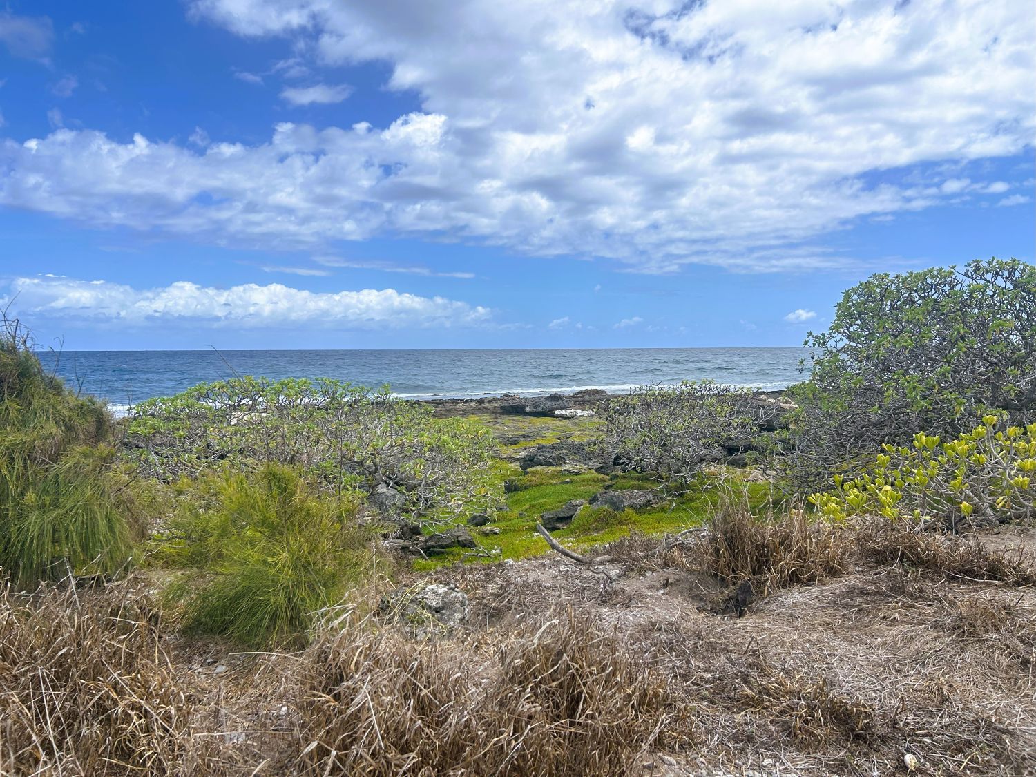 View looking north on Kapapa Island