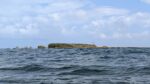 Kapapa Island as seen from the south