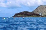 Six kayakers paddling toward Lahilahi